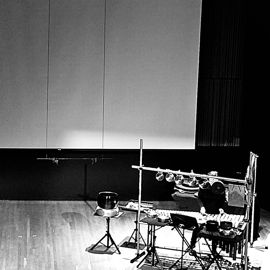 Recital de David Therrien Brongro