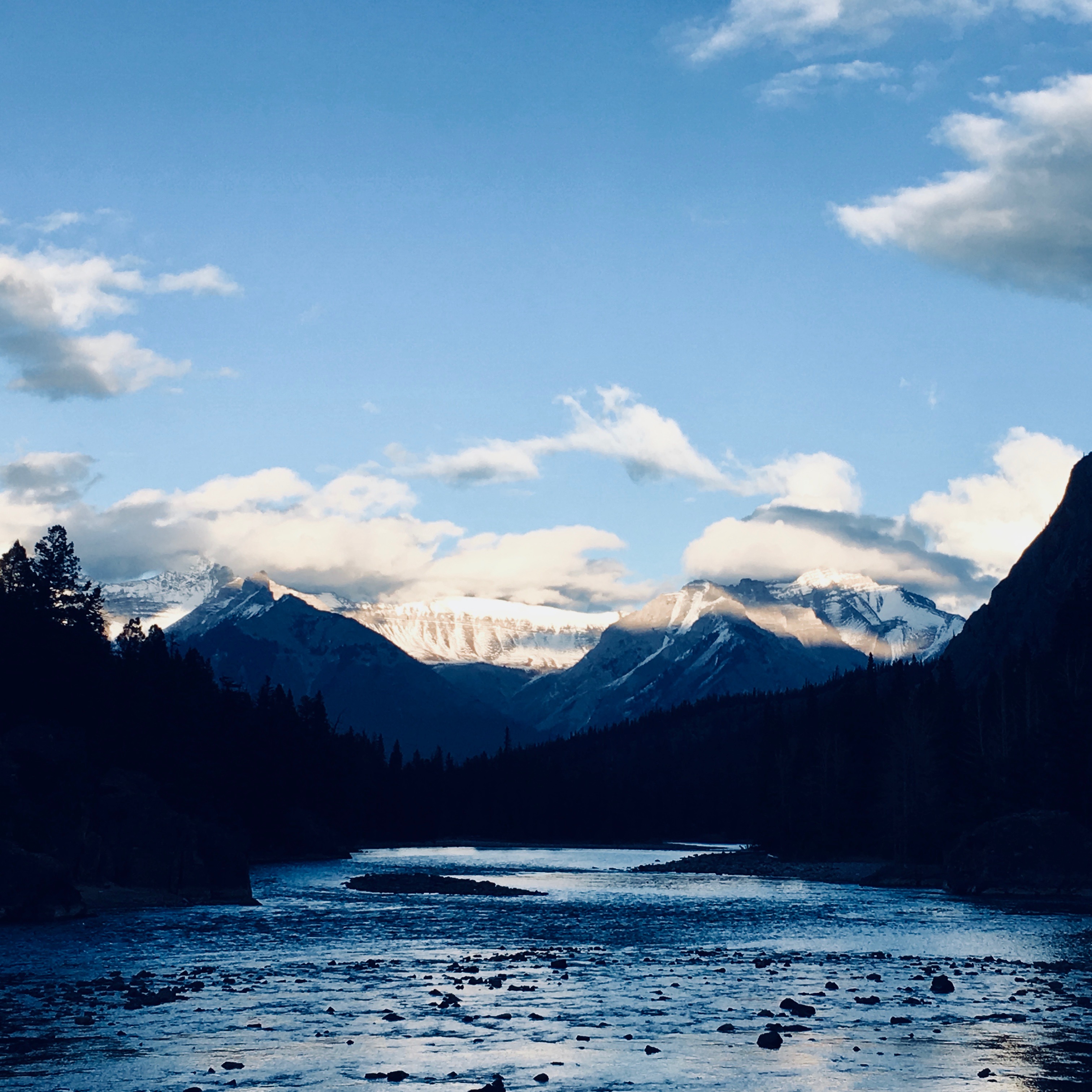 Inévitable idéalisme