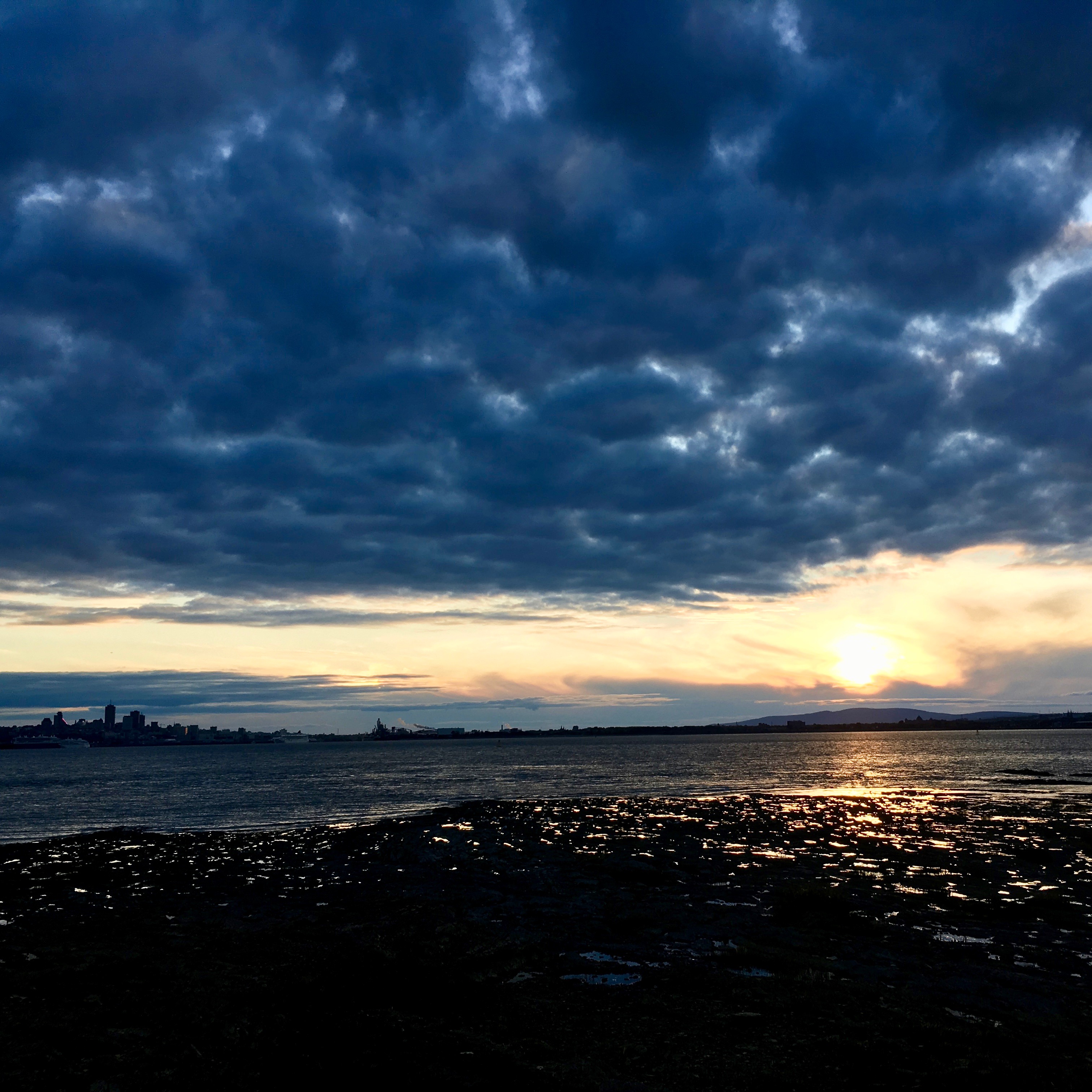 se réveillent, tumultueuses et merveilleuses